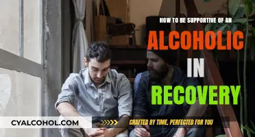 Support for Alcoholics: A Guide to Recovery
