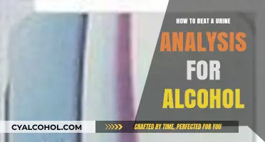 Beating Urine Analysis: Alcohol Detection Techniques Debunked
