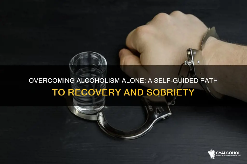 how to beat alcoholism by yourself