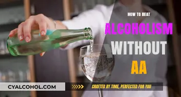 Overcoming Alcoholism: Alternative Paths to Recovery Beyond AA Support