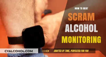 Effective Strategies to Successfully Beat SCRAM Alcohol Monitoring Devices