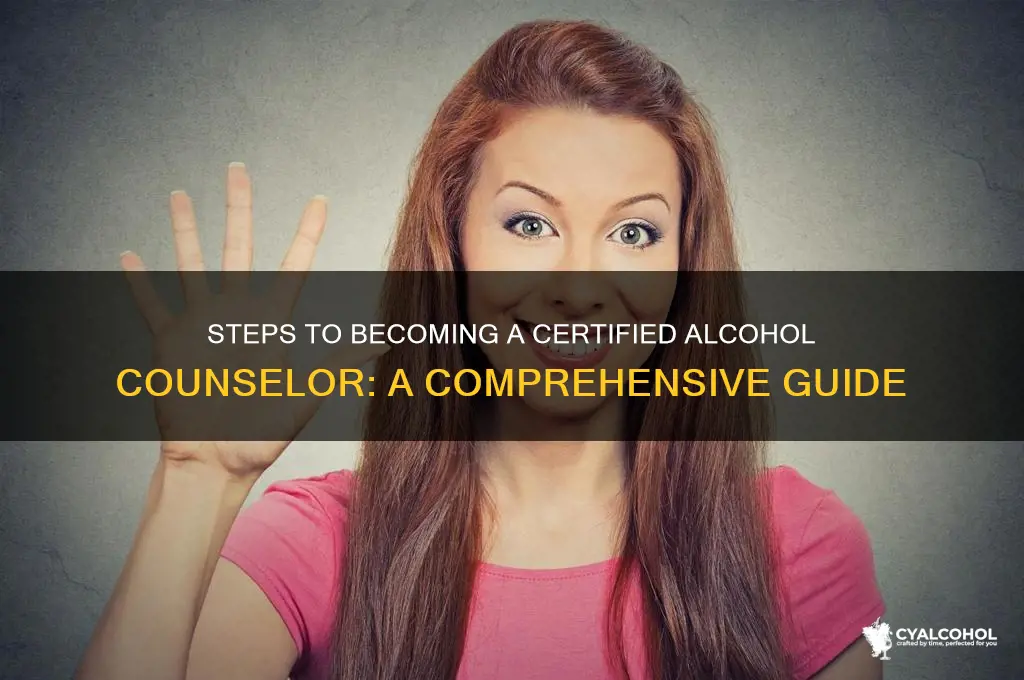 how to become a alcohol counselor