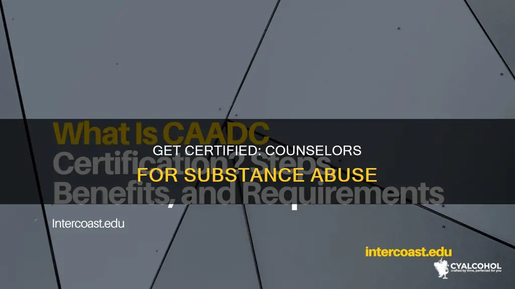 how to become a certified alcohol and substance abuse counselor