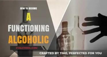 Navigating Daily Life as a Functioning Alcoholic: Strategies and Realities