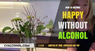 Finding Joy Beyond the Bottle: A Guide to Sober Happiness