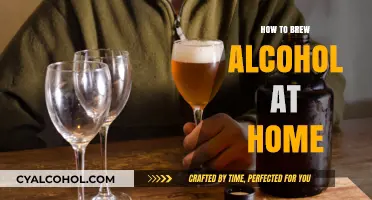 Mastering Homebrewing: A Beginner’s Guide to Crafting Alcohol at Home