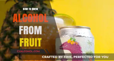 Fruit to Ferment: A Beginner’s Guide to Brewing Homemade Alcohol