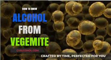 Brewing Vegemite Alcohol: A Unique DIY Fermentation Guide