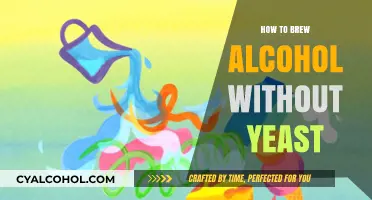 Brewing Alcohol Without Yeast: Alternative Fermentation Methods Explained