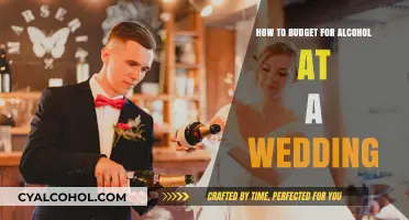 Alcohol Budgeting Guide for Your Wedding