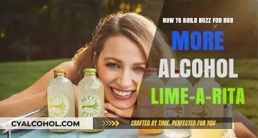 Creating a Buzz: Bud Light's Alcohol Lime-a-Rita
