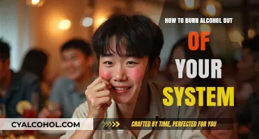 Strategies to Flush Alcohol Out of Your System
