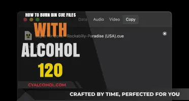 Burning Bin/Cue Files: Alcohol 120% Guide
