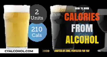 Shed Alcohol Calories: Effective Strategies to Burn Off Excess Intake