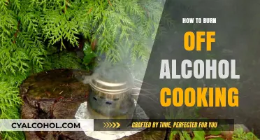 Cooking with Alcohol: Mastering the Art of Burning Off Spirits Safely