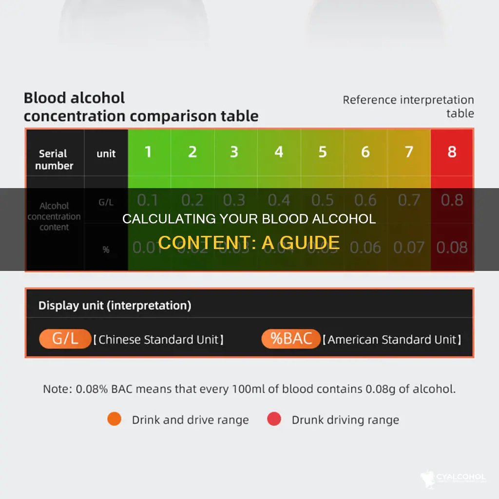 how to calculate the alcohol level in my system