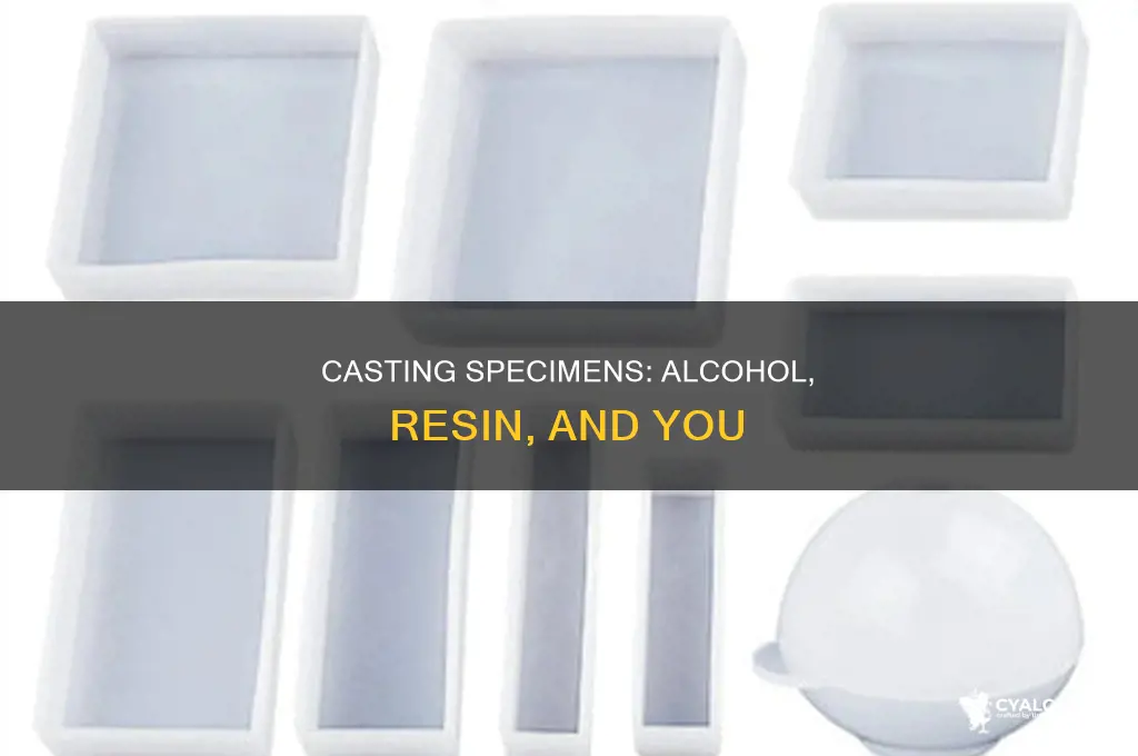 how to casr specimens in alcohol in resin