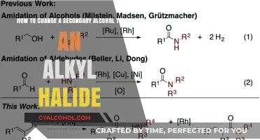 Transforming Secondary Alcohols: Synthesis of Alkyl Halides