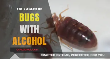 Spray Alcohol to Detect Bed Bugs