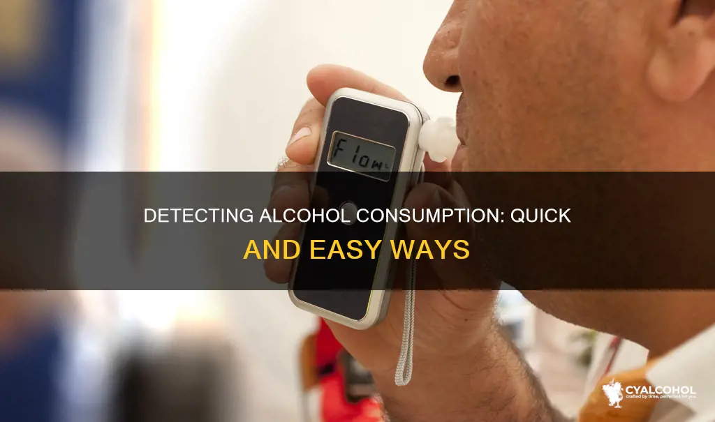 how to check if a person has consumed alcohol