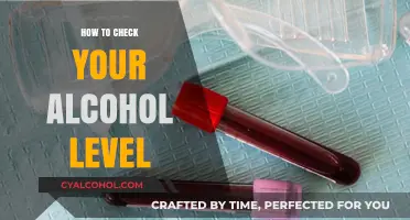 Quick Guide to Accurately Measuring Your Alcohol Level at Home