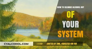 Cleansing Alcohol from Your System: Effective Strategies