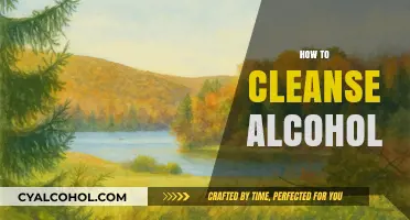 Effective Ways to Cleanse Your Body After Alcohol Consumption