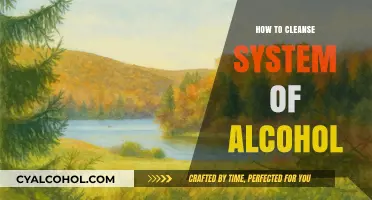 Effective Ways to Detox Your Body from Alcohol Safely and Naturally