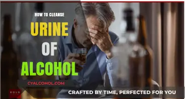 Effective Methods to Detox Urine from Alcohol Quickly and Safely