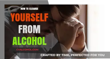 Effective Ways to Detox and Recover from Alcohol Dependence