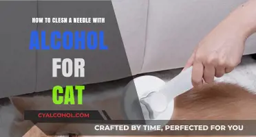 Cleaning Cat Needles: Alcohol Method Explained