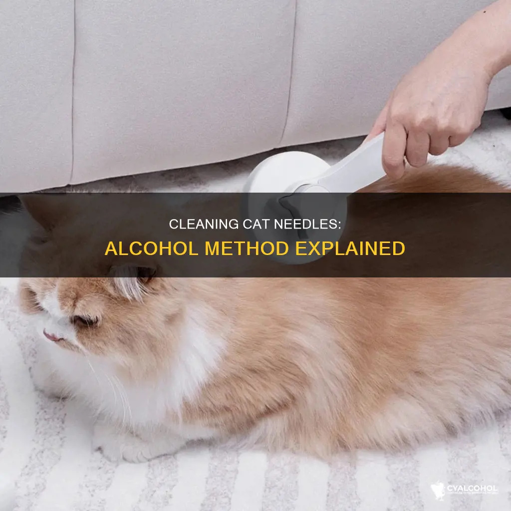 how to clesn a needle with alcohol for cat