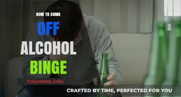 Safely Recovering from Alcohol Binge: A Step-by-Step Guide to Healing
