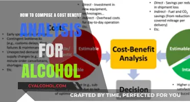 Cost-Benefit Analysis: Alcohol's True Price
