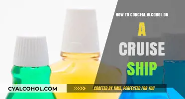 Concealing Alcohol on a Cruise: Strategies for Success