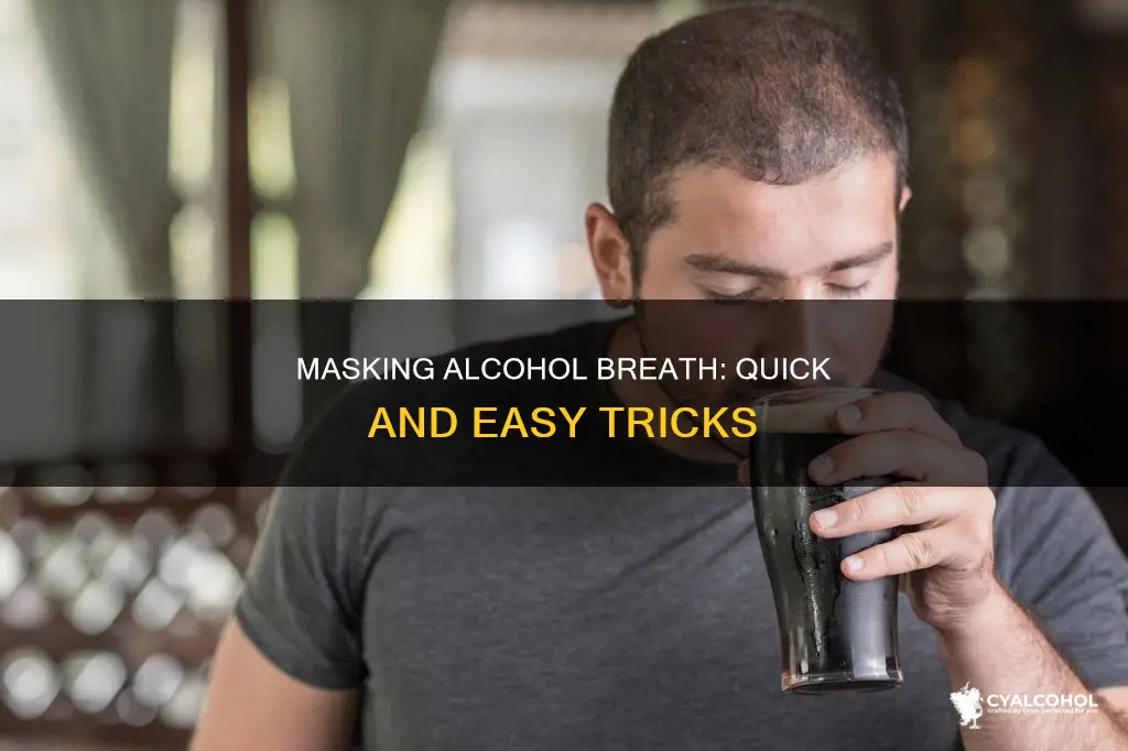 how to conceal the smell of alcohol on your breath