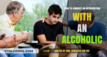 Confronting Alcoholism: A Guide to Interventions