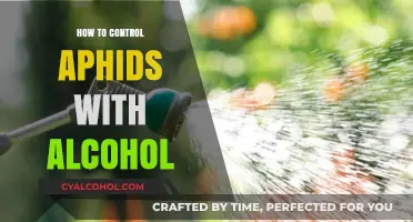 Effective Alcohol Spray Method to Control Aphids in Your Garden