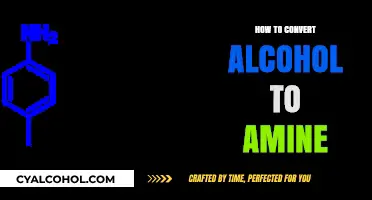 Efficient Methods to Convert Alcohol to Amine in Organic Chemistry