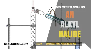 Transforming Alcohols: Synthesis of Alkyl Halides