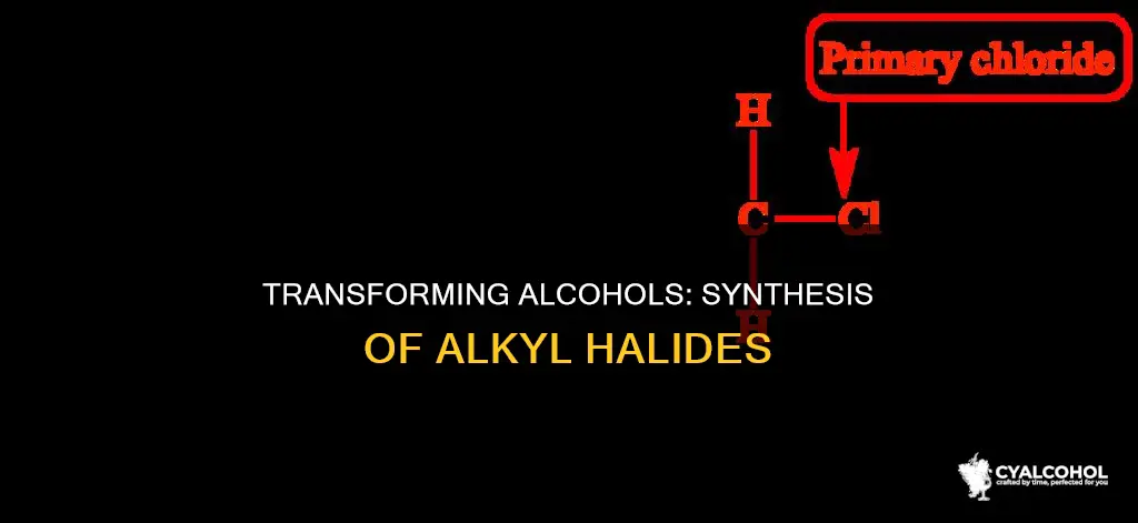 how to convert an alcohol into an alkyl halide