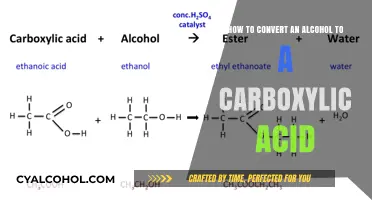 Oxidation: Transforming Alcohols into Carboxylic Acids