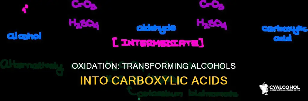 how to convert an alcohol to a carboxylic acid