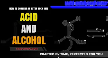 Ester Hydrolysis: Back to Acid and Alcohol