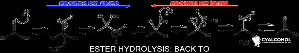 how to convert an ester back into acid and alcohol