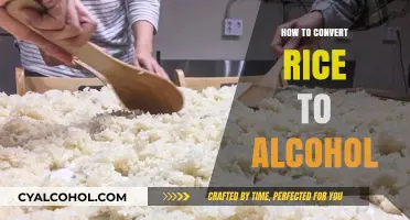 Brewing Basics: Simple Steps to Convert Rice into Alcohol at Home