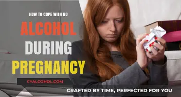 Pregnancy Sobriety: Coping Strategies for Alcohol Abstinence