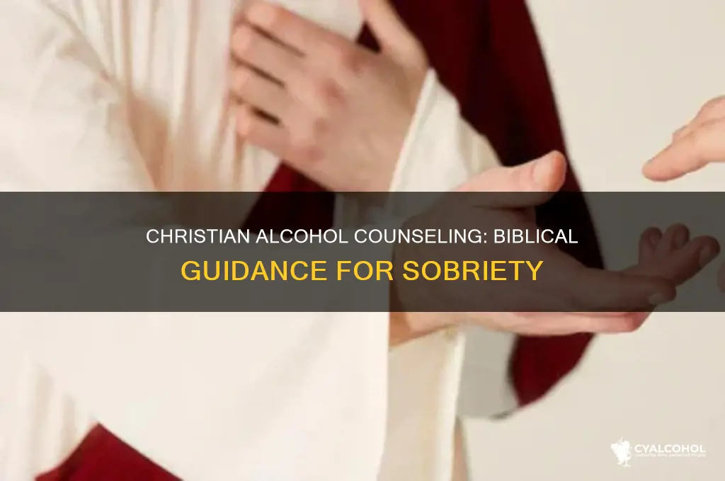 how to counsel a christian with alcohol problems
