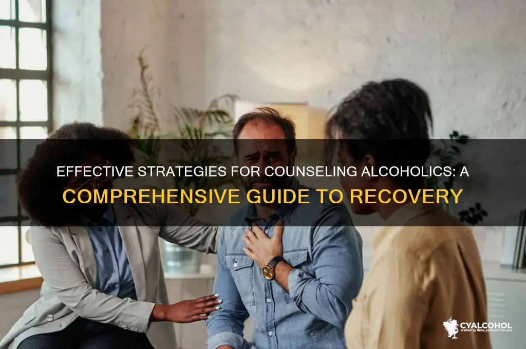 how to counsel alcoholics