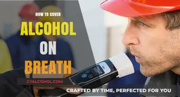 Quick Tips to Mask Alcohol Breath Instantly and Effectively